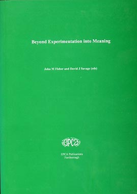 Beyond Experience Into Meaning Book